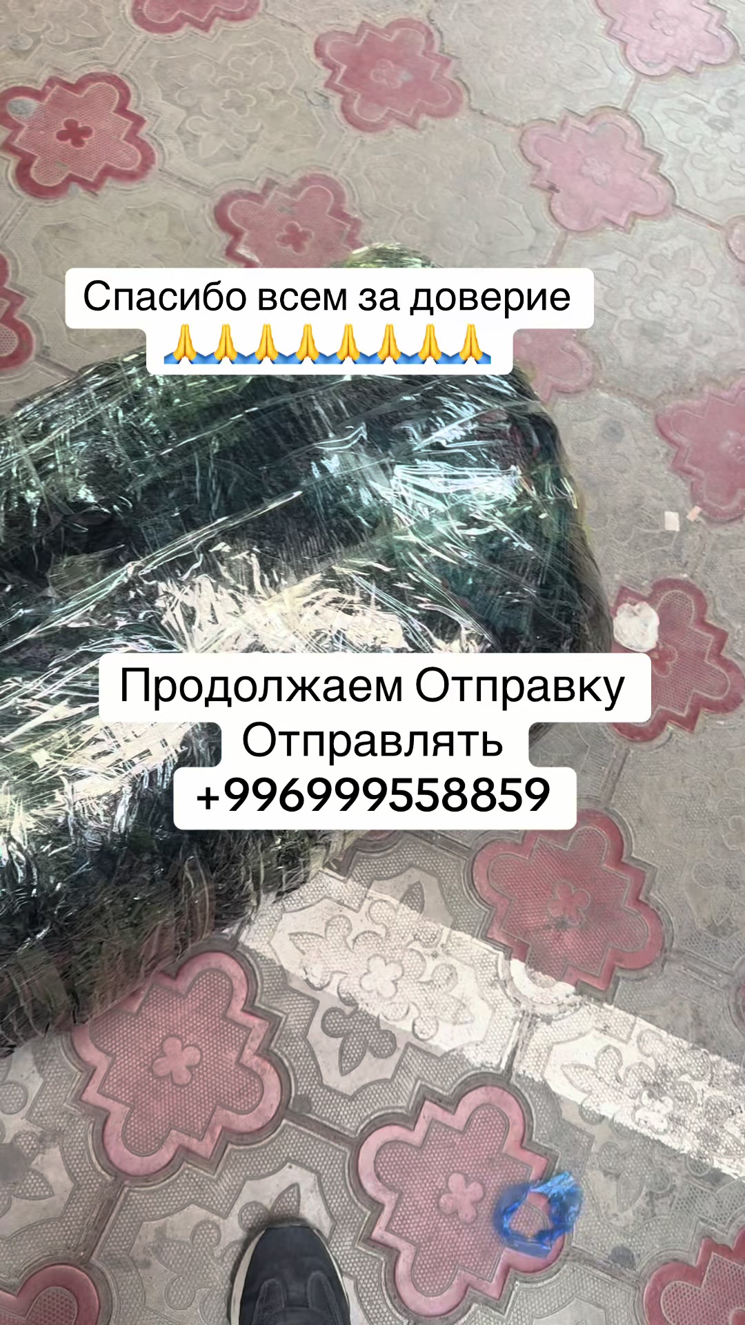 @likabishkek