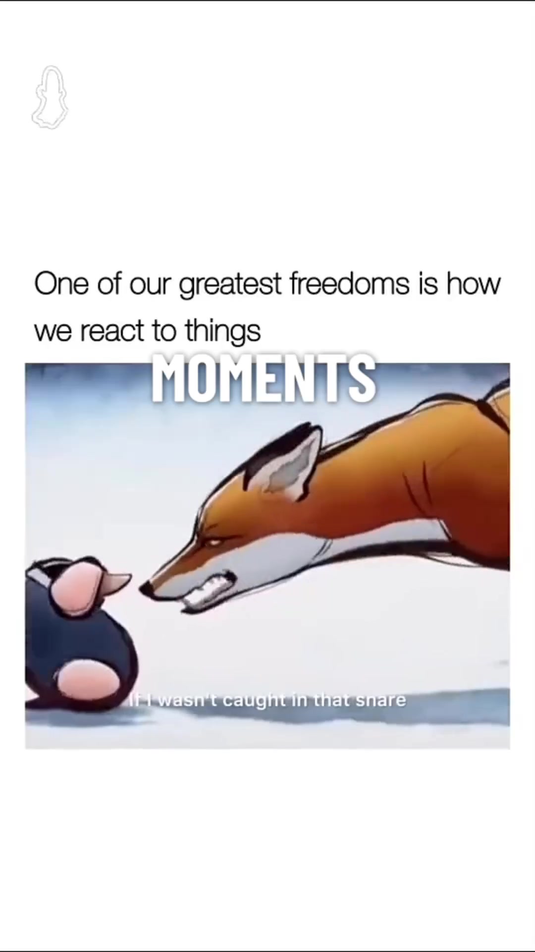 @brightwhiteowl69