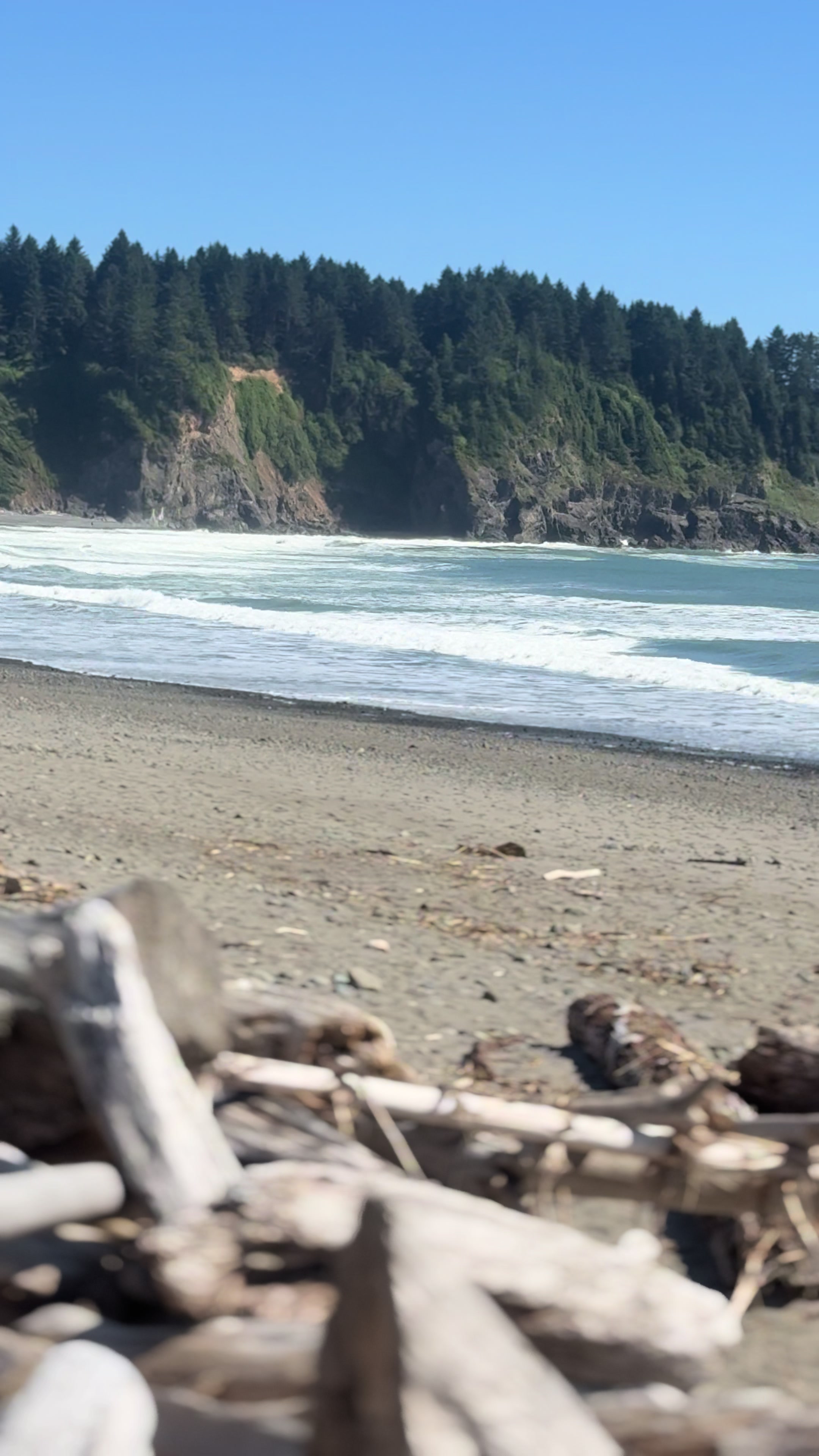 @Trent
