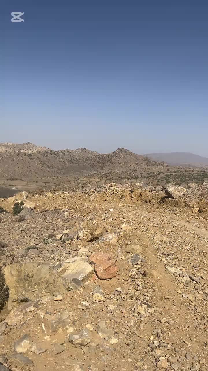 @ammir marri