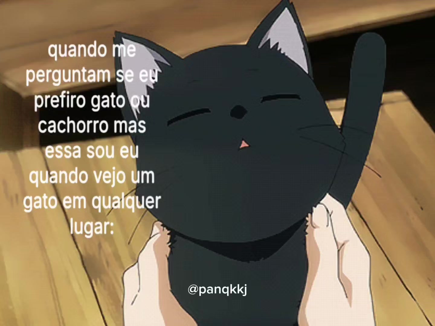 @Pɑn ⚝