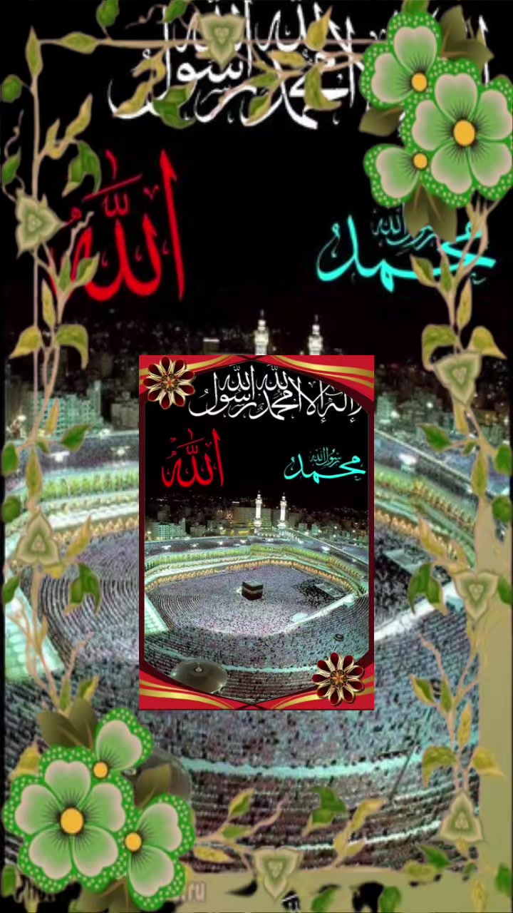 @Anshaa siraj