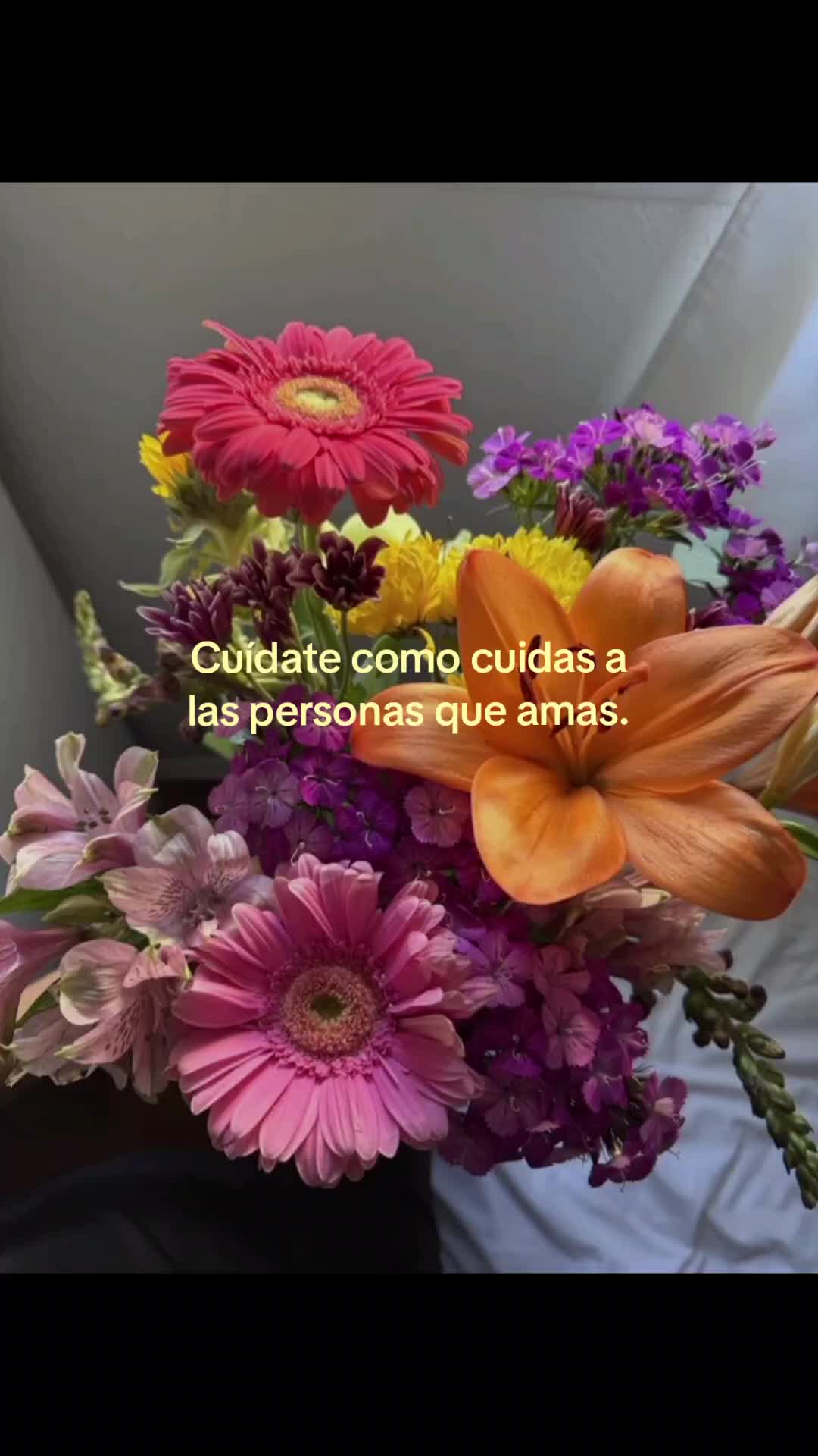 @°Lymar⁷°