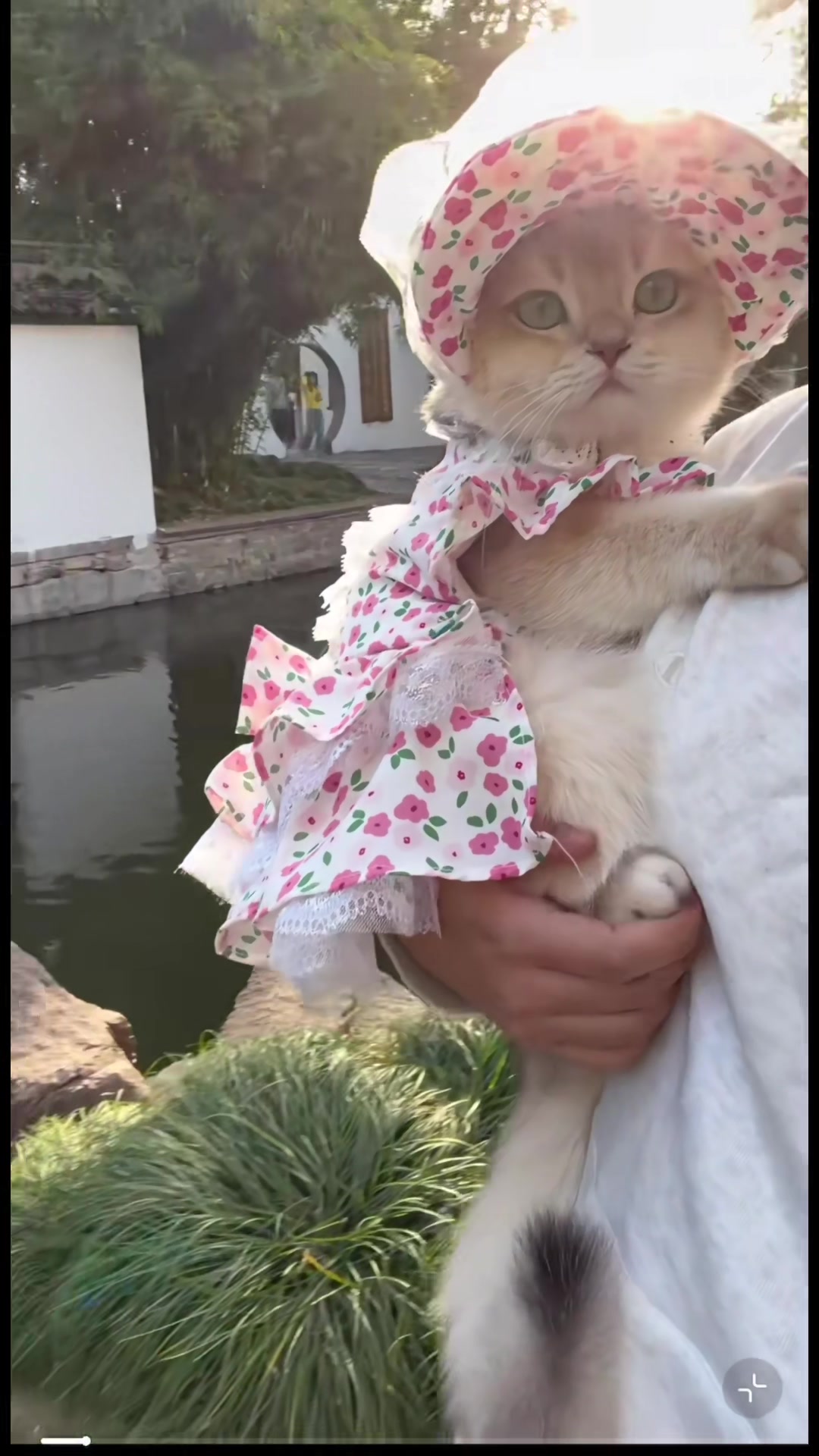 @My Daily Dose of Aww