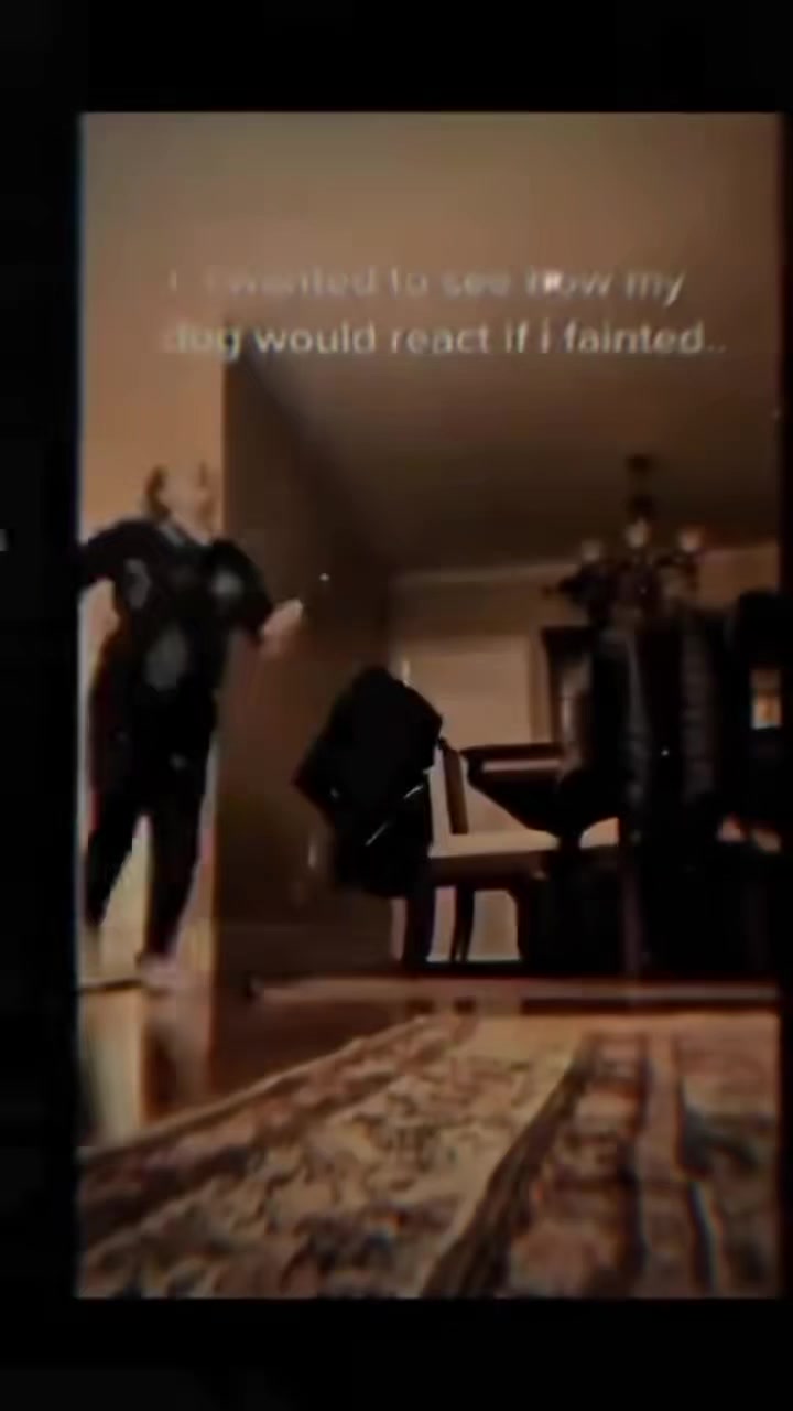 @user67775151988