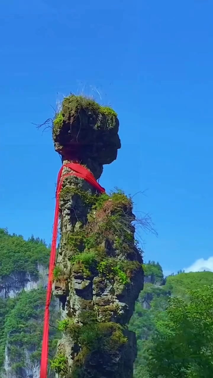 @Lê Đức Cương Bonsai