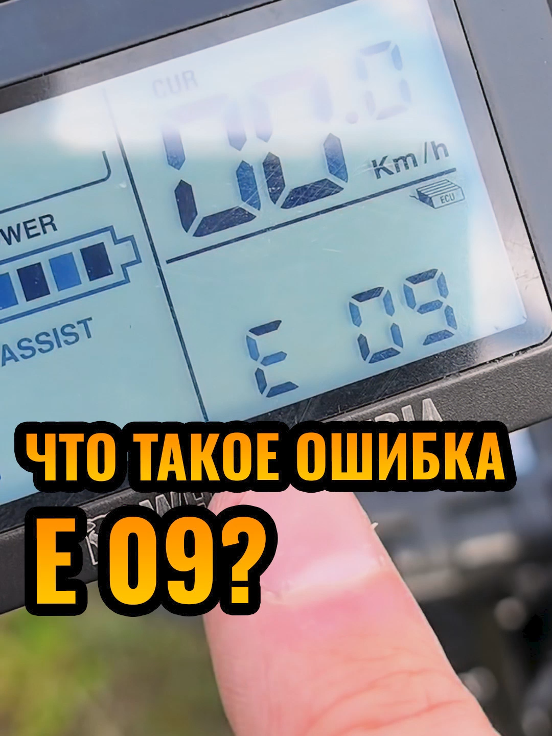 @Илья Ленц | КвадроБаза