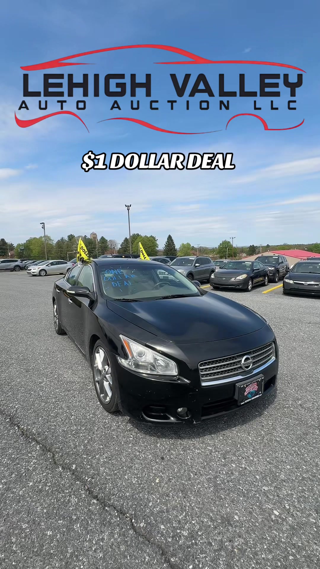 @Lehigh Valley Auto Auction