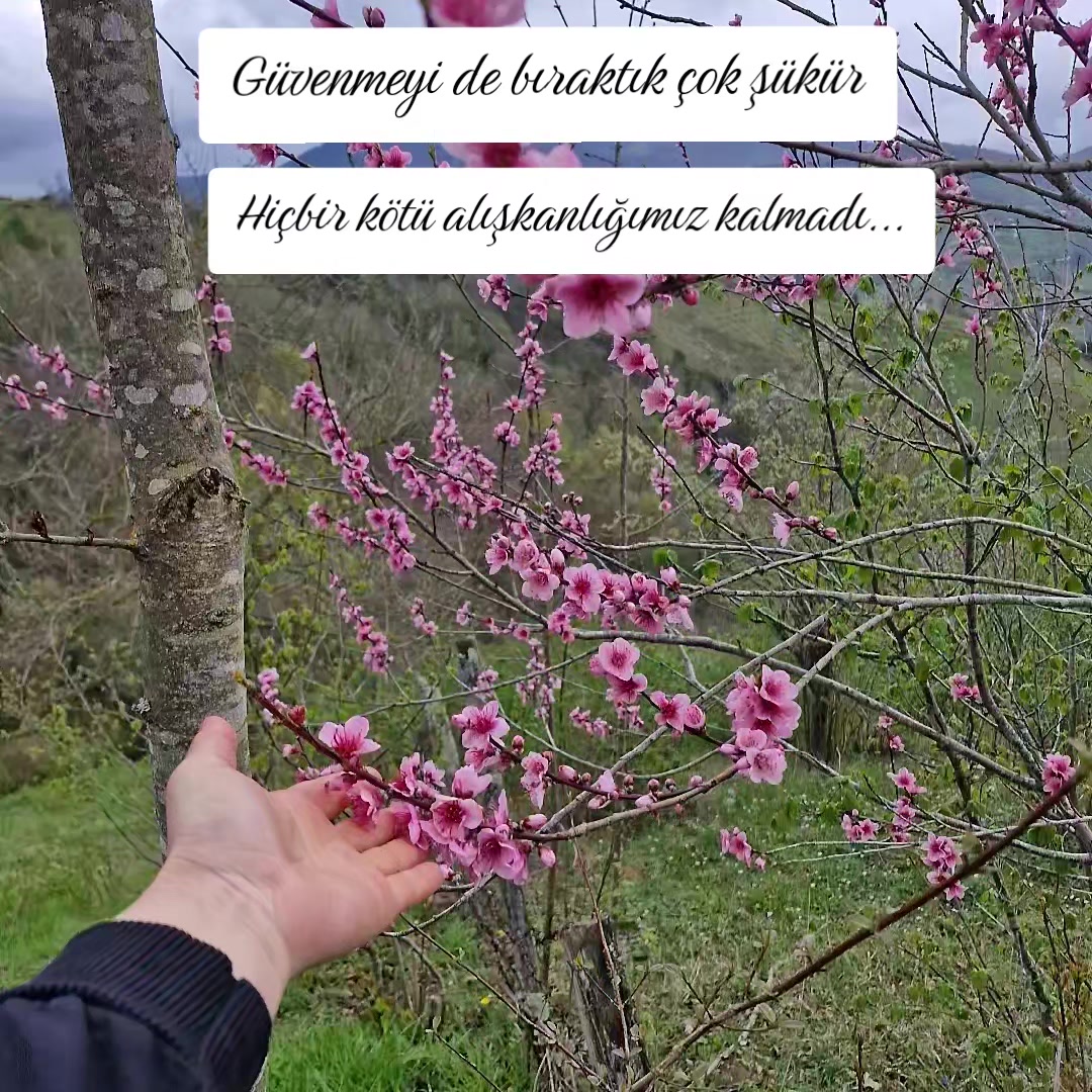 @Damla_s_55.19
