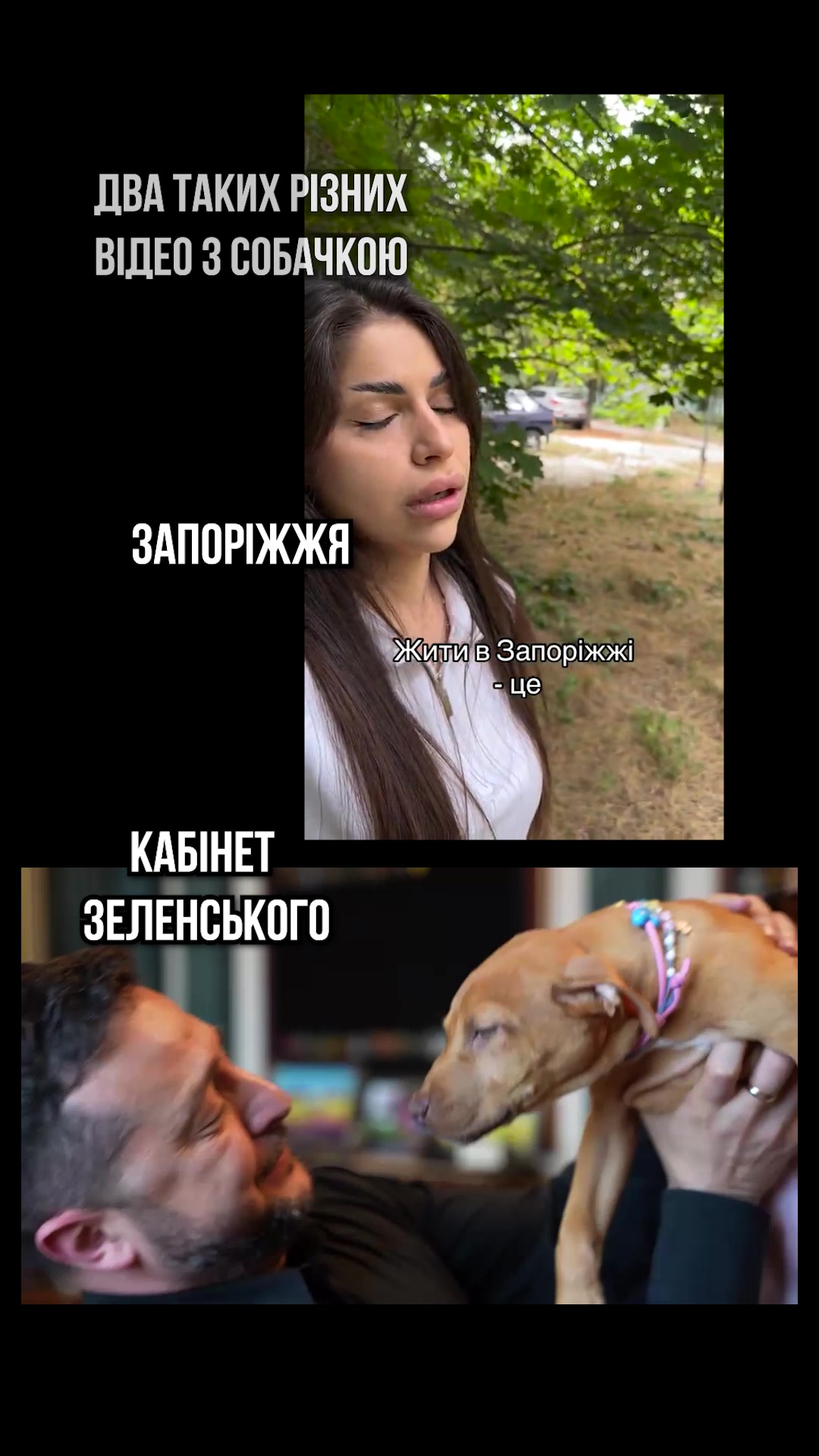 @Інформаційна Січ