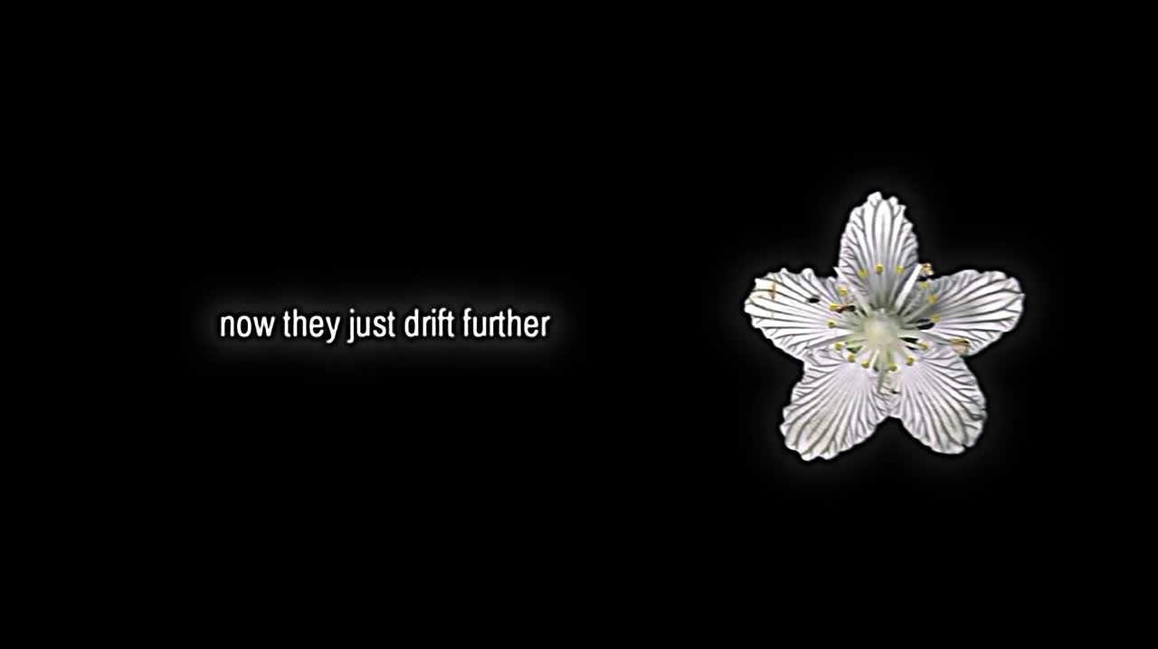 @𝘷𝘦𝘭𝘮𝘮𝘳𝘢𝘺𝘹