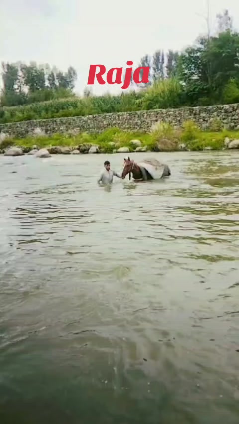 @luqman zaib