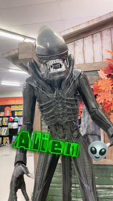 @khaleesi