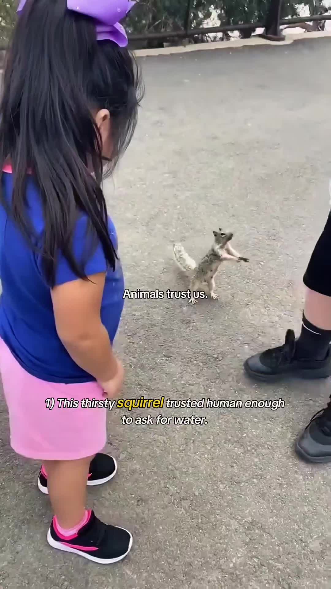 @WildwonderzZzz