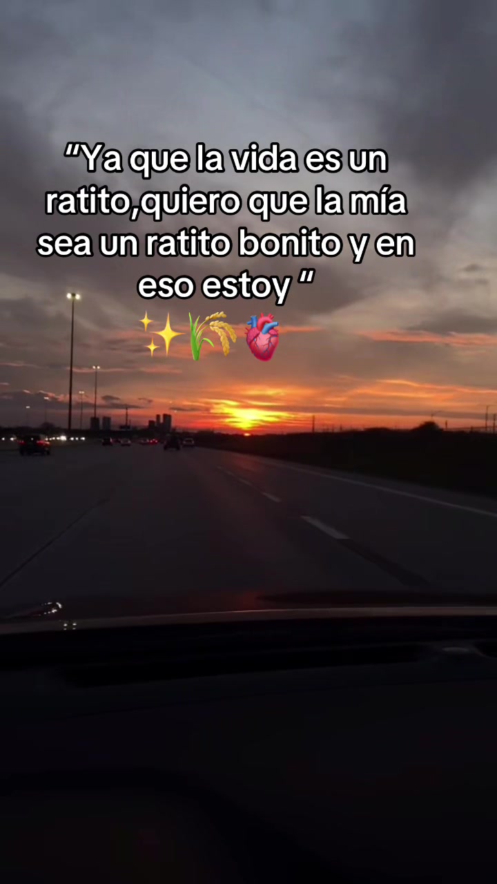 @(🦋🦋)