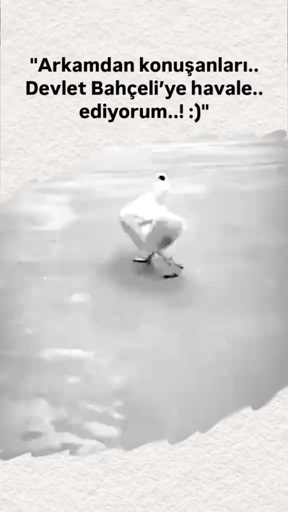 @🫵🔥🫵BOMBACI🫵🔥🫵GELDİ🫵🔥🫵