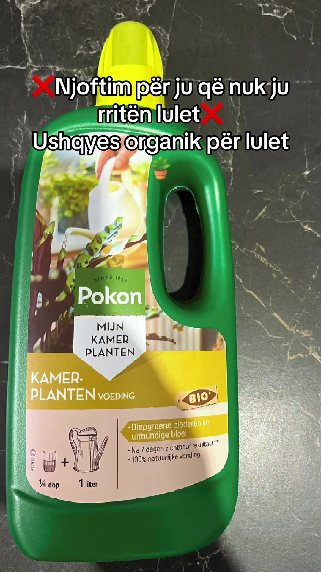 @Lule për ty