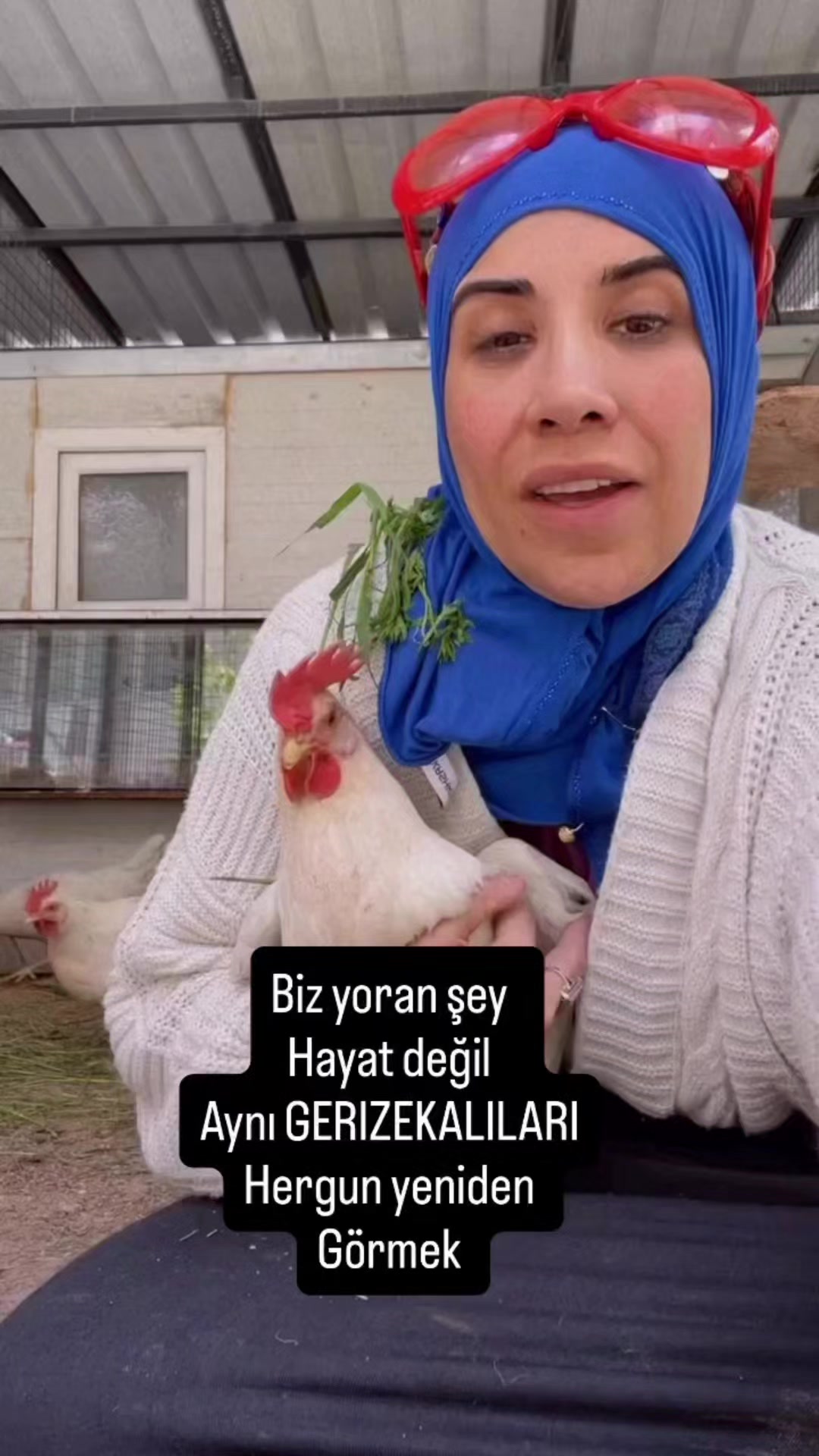@Mehmet tc