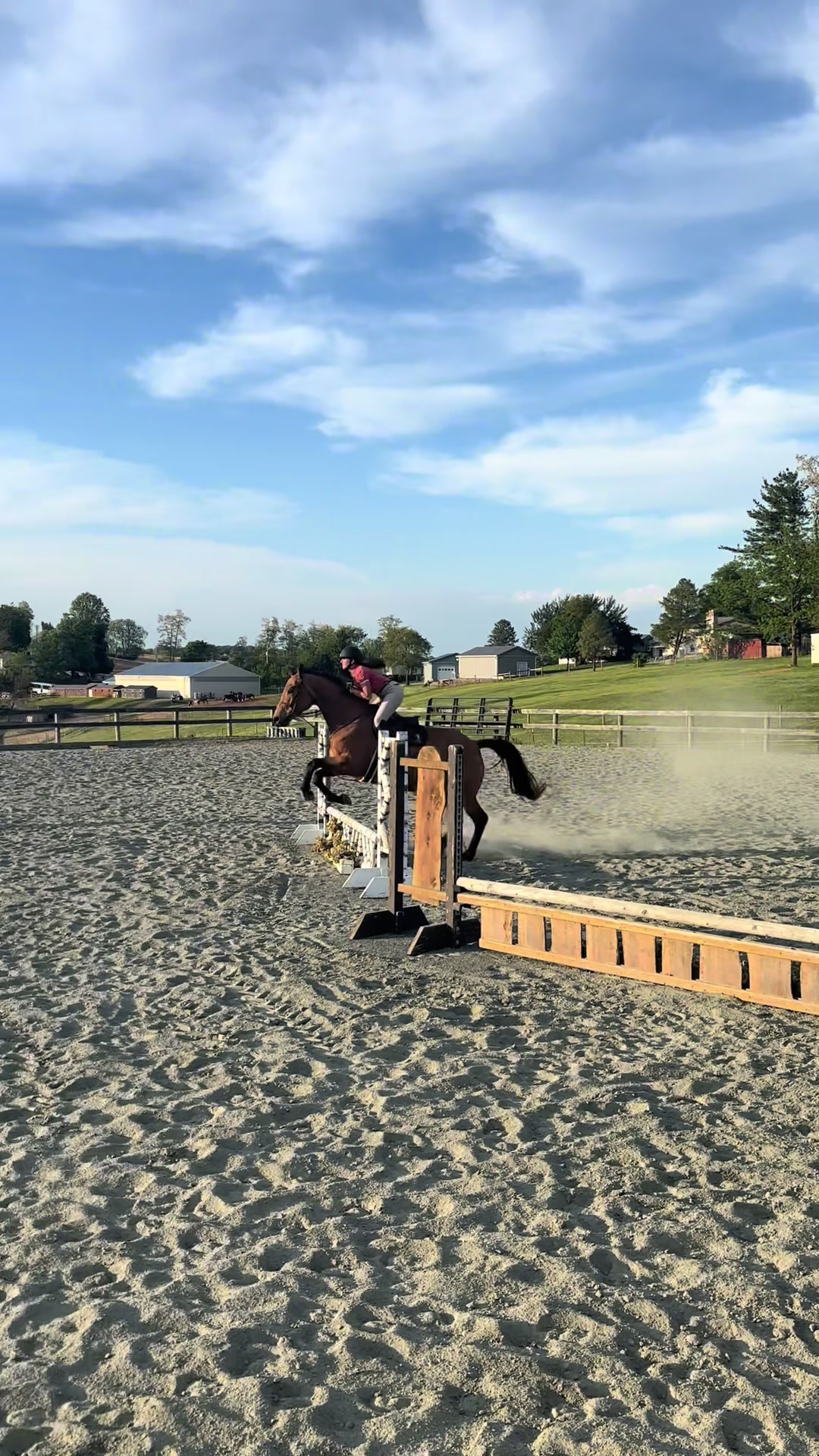 @Aftyn 🐎