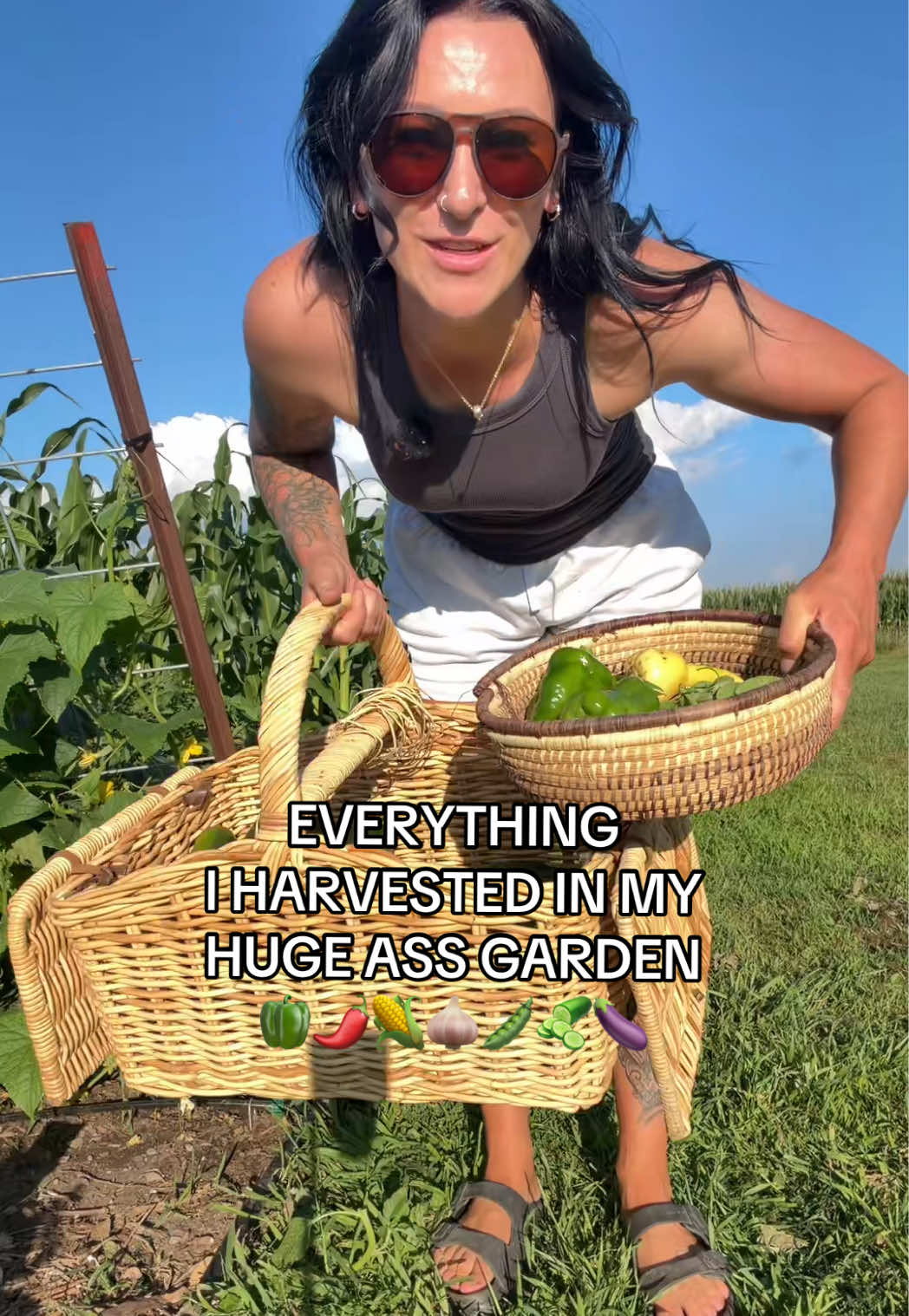 @Erica | Anderson Acres