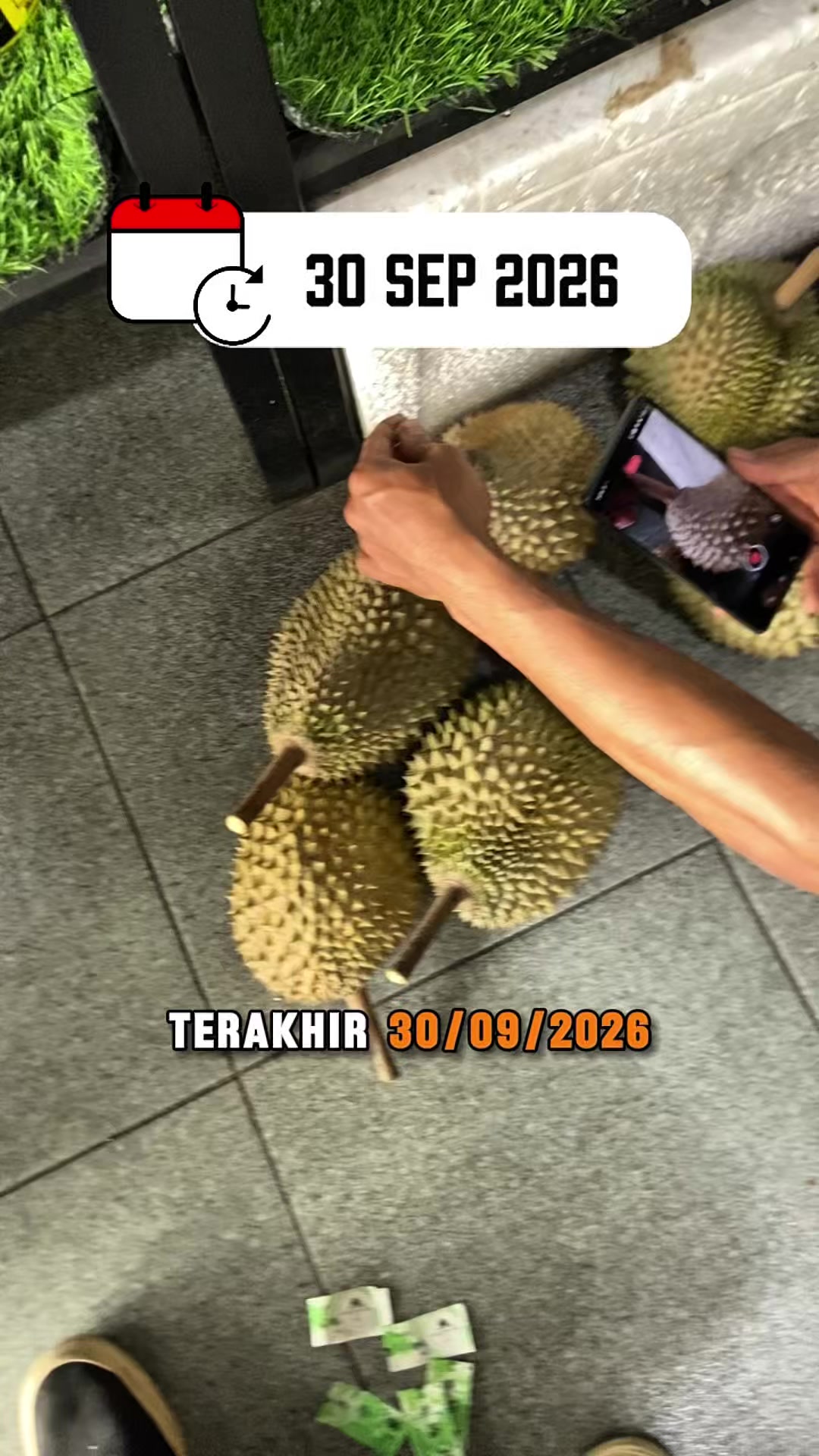 @CICIP DURIAN