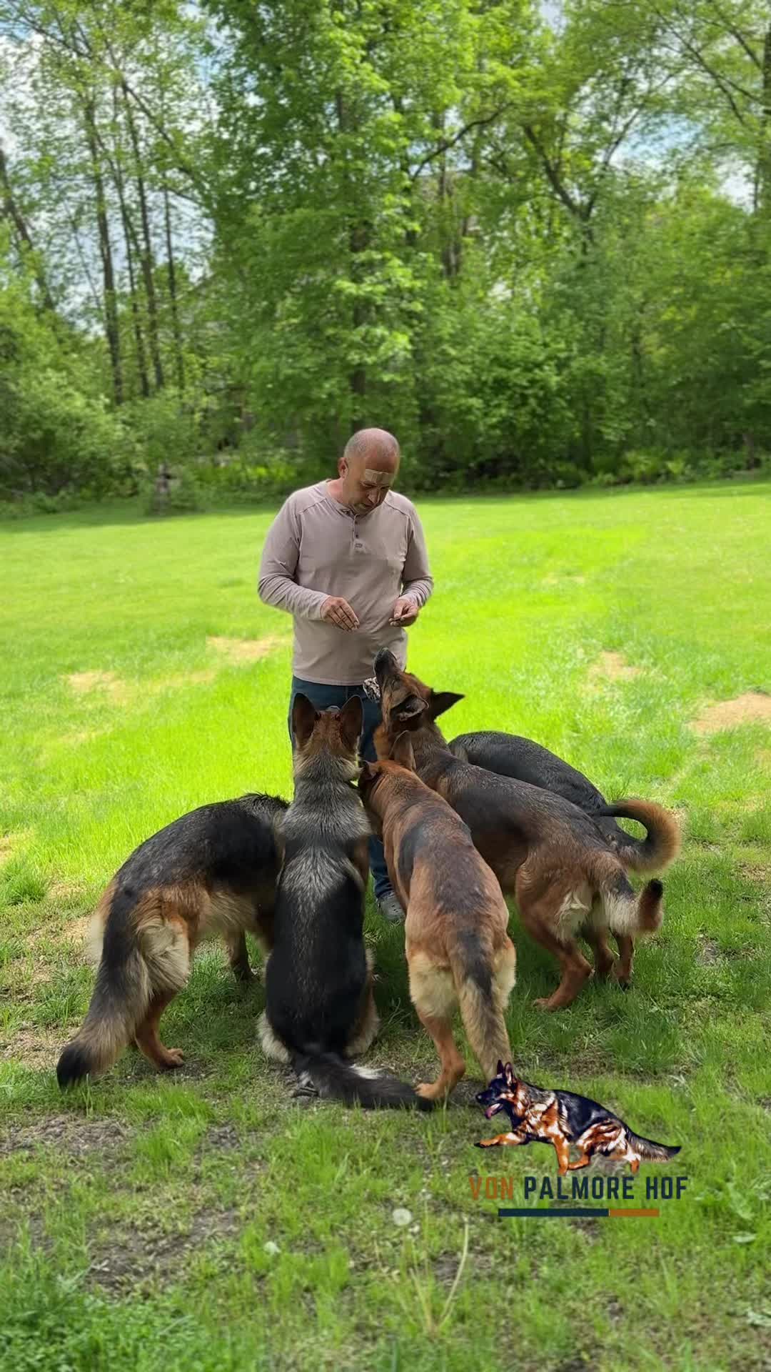 @Von_Palmore_Hof