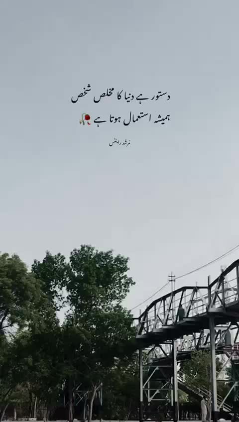 @⚜️MurShaD write’s⚜️