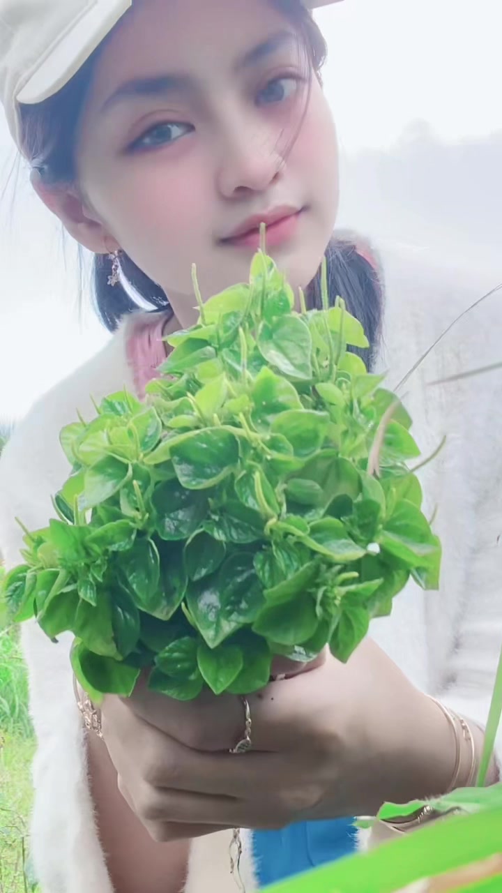 @Rifaa🦋