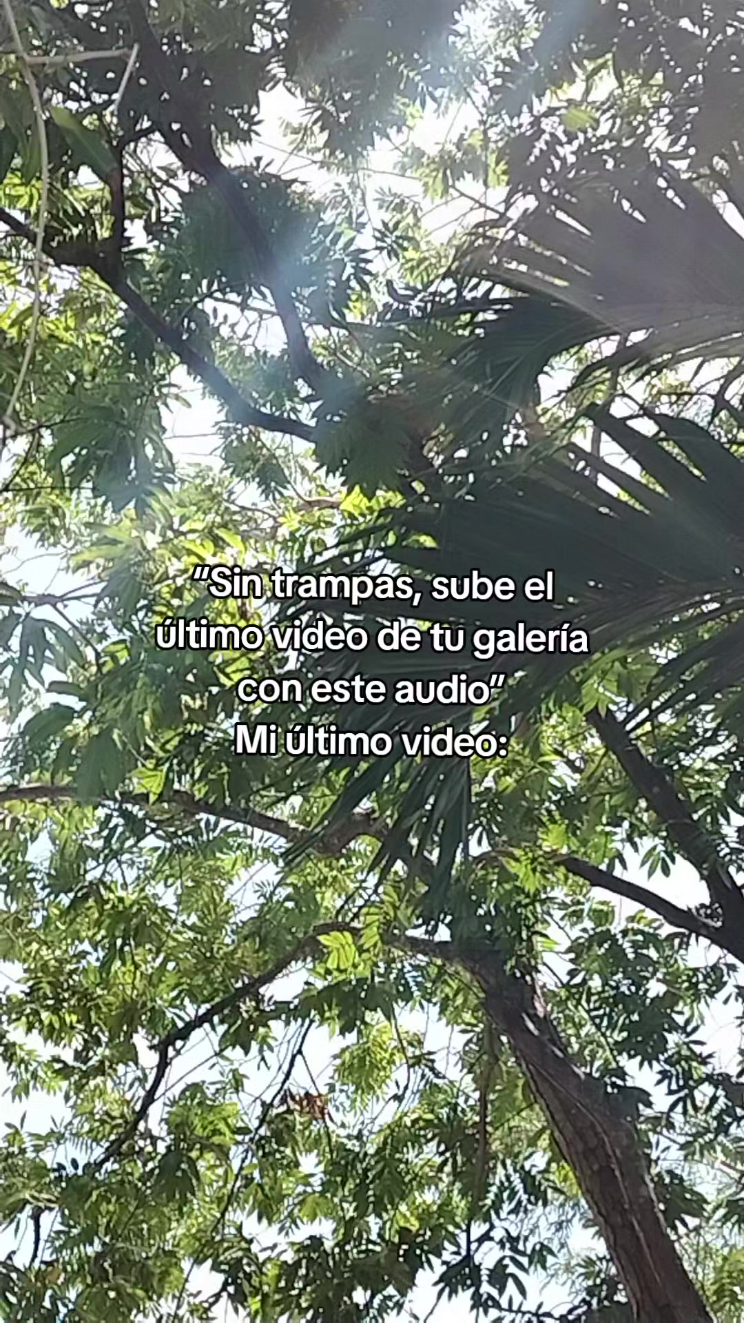 @Audrina Iriz