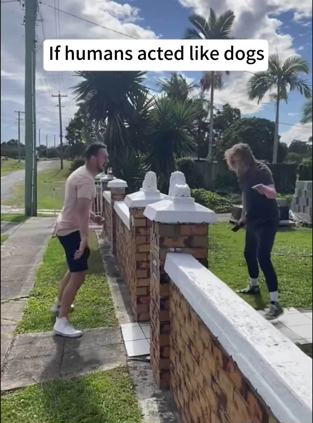 @Pudding Pets