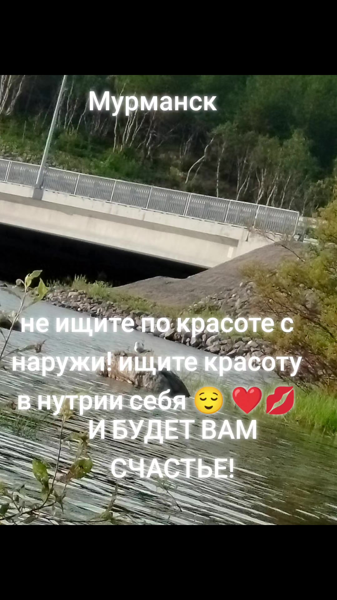 @👑ЯНЧИК👑