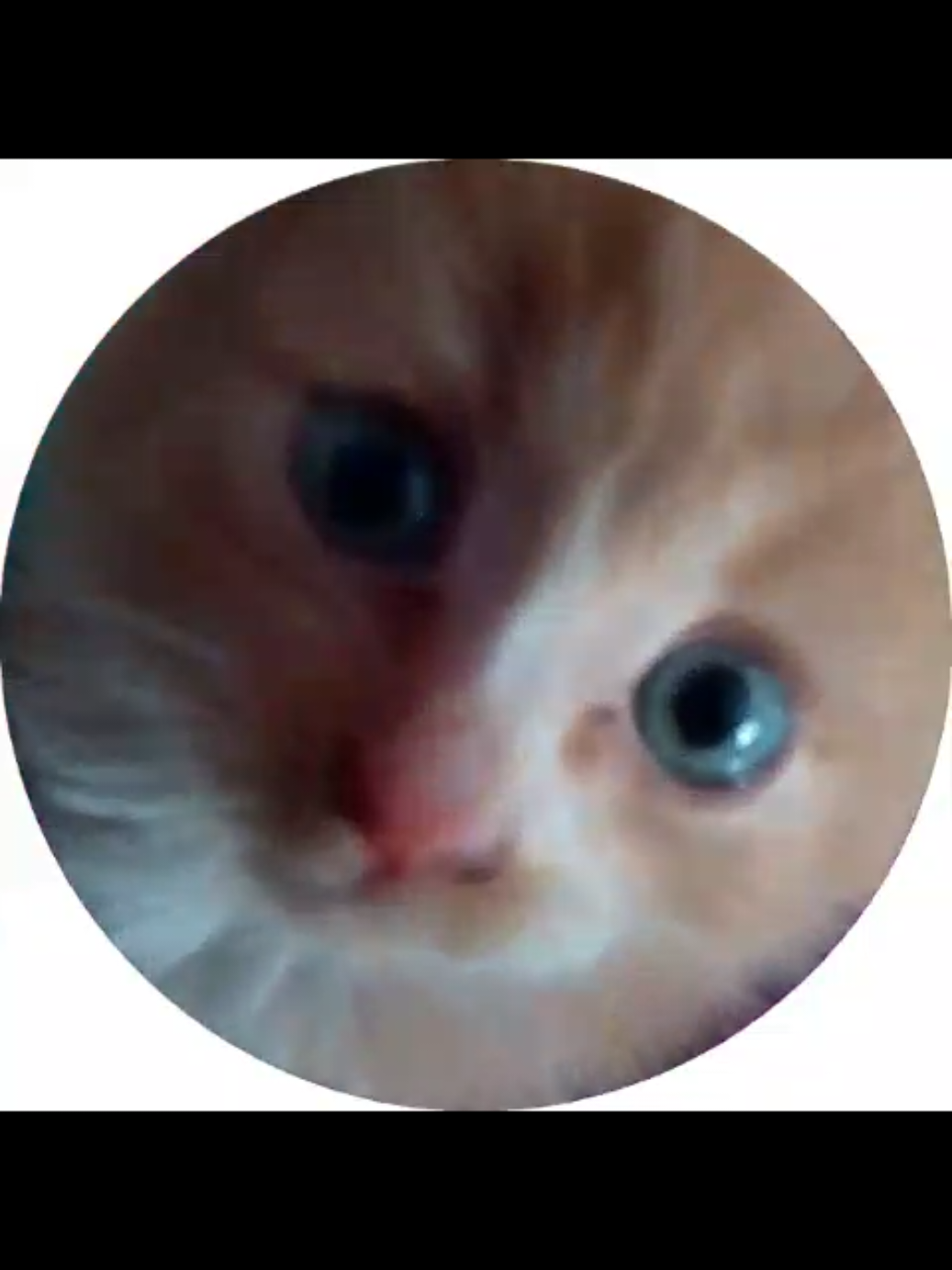 @Этлис 🐾