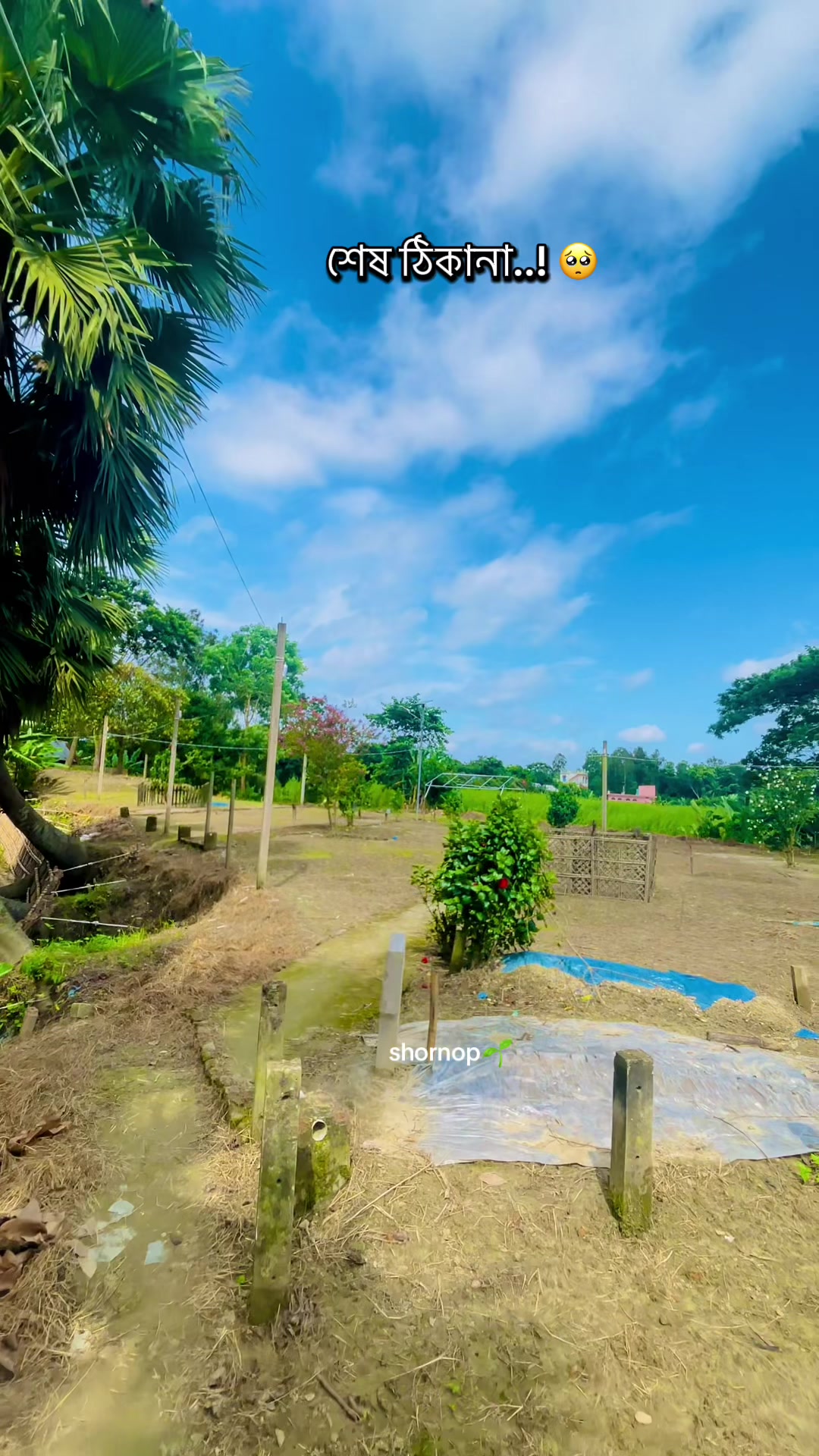 @🕊️♡Տԩόɹ𝖓ό𝒑🌱🧢