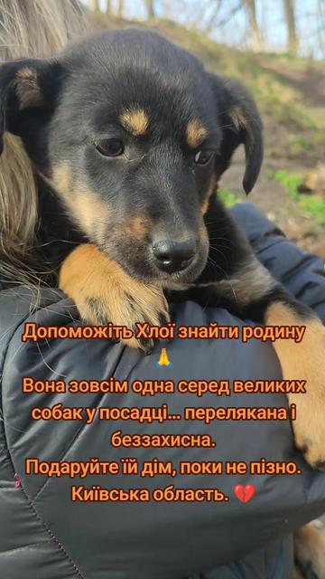 @viktoria)