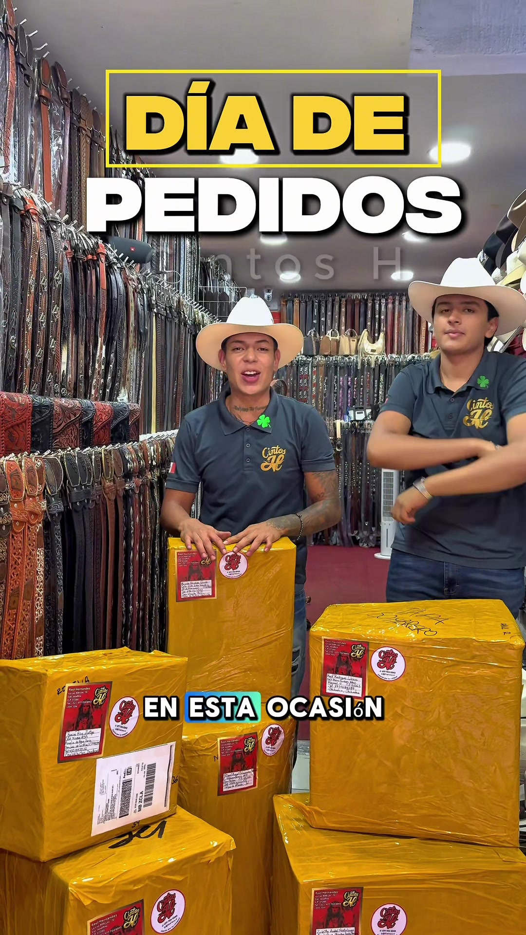 @cintosh1