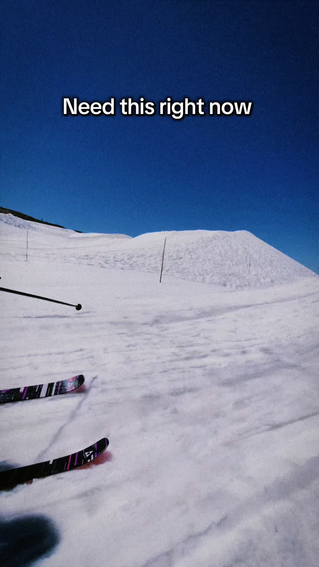 @Wildcard Snow Wear