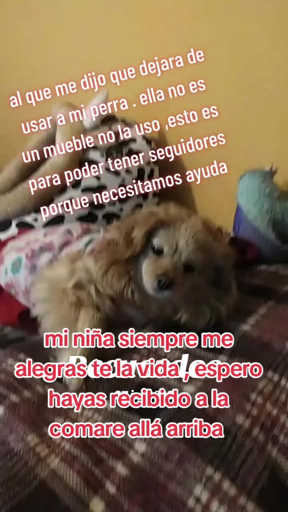 @Canelita@la bonita