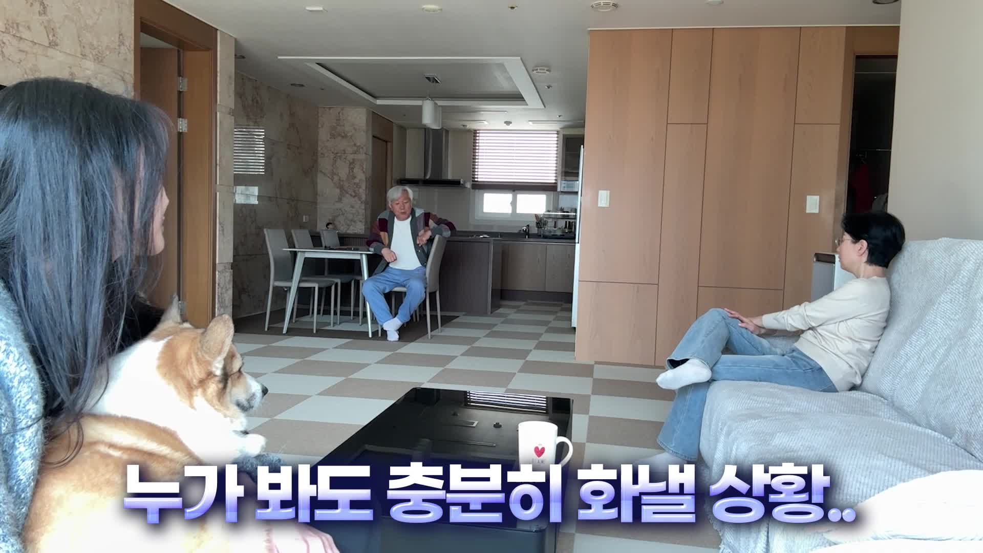 @하알라
