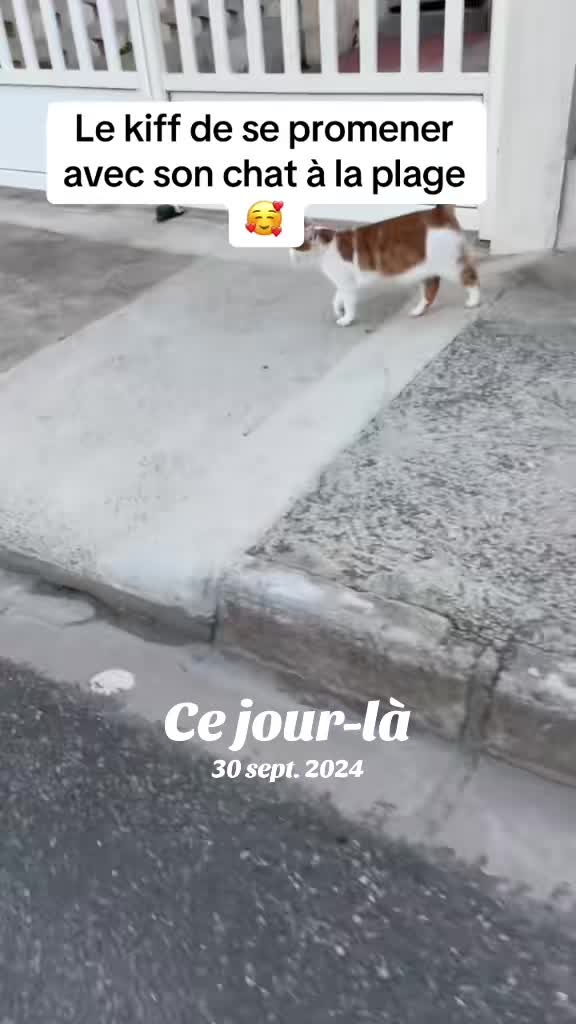 @LoTilia__