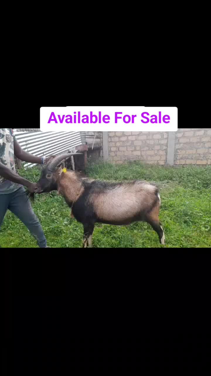 @Sam Kariuki
