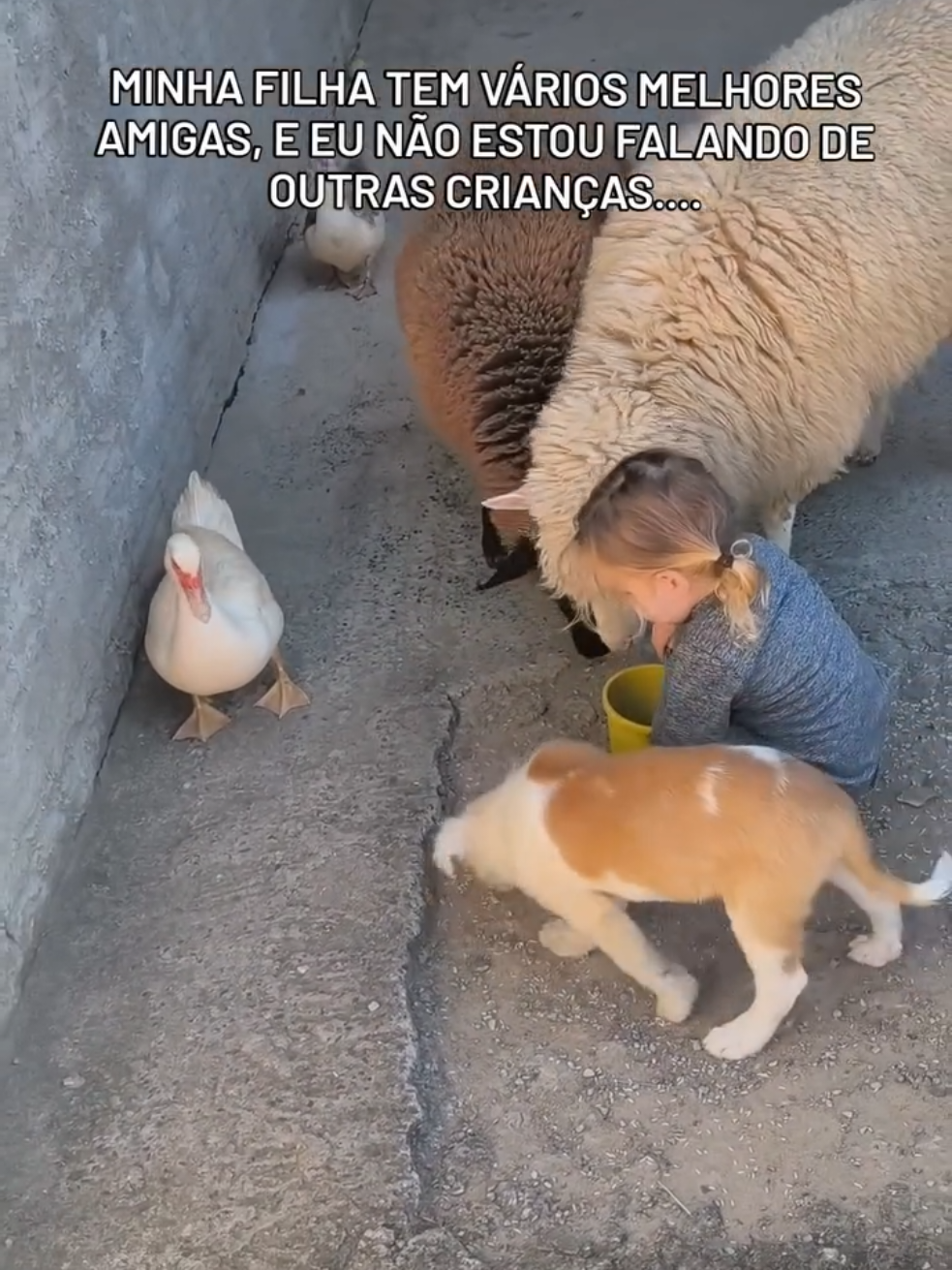 @Natália e Beatriz 🐣