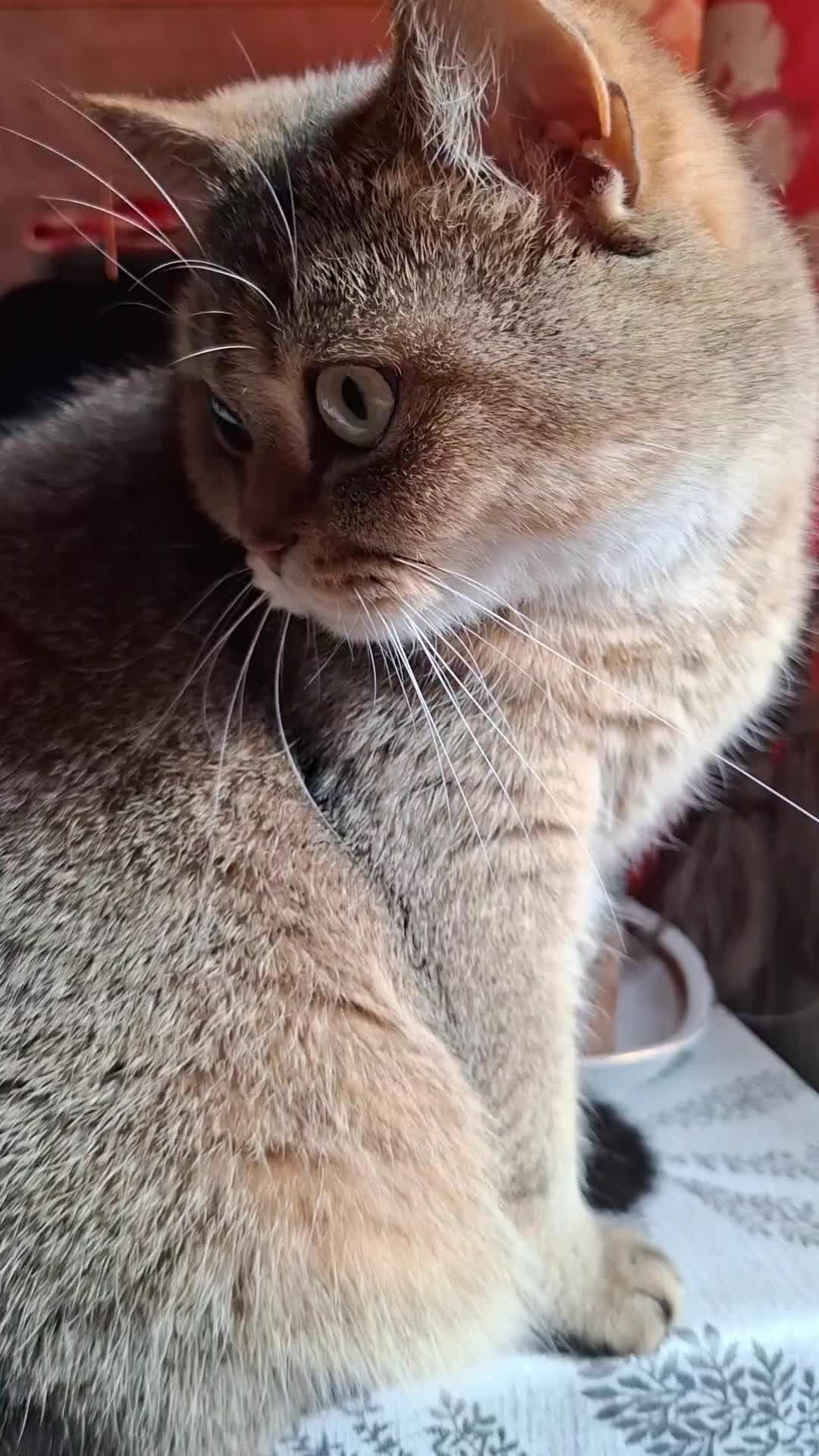 @Жанночка