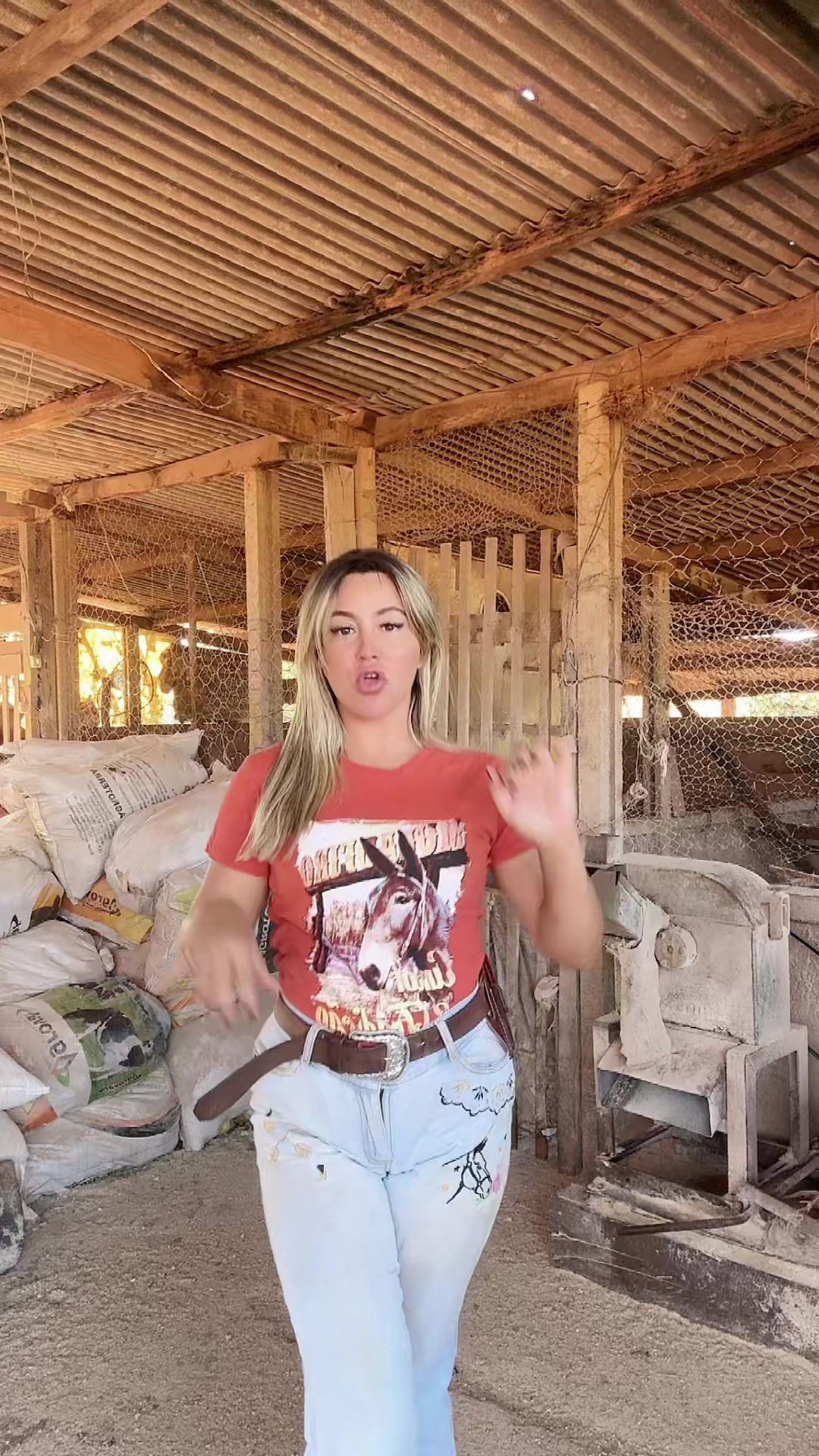 @Mariana_Fazendeira