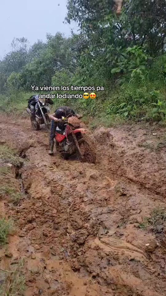 @L v m