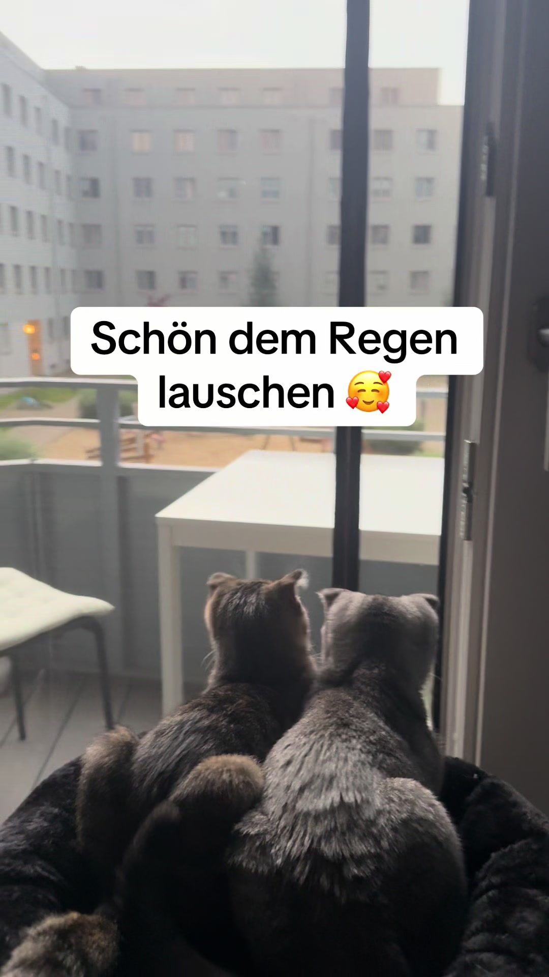 @Divaurteilt