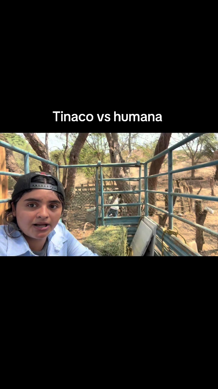 @liz_alvarez42