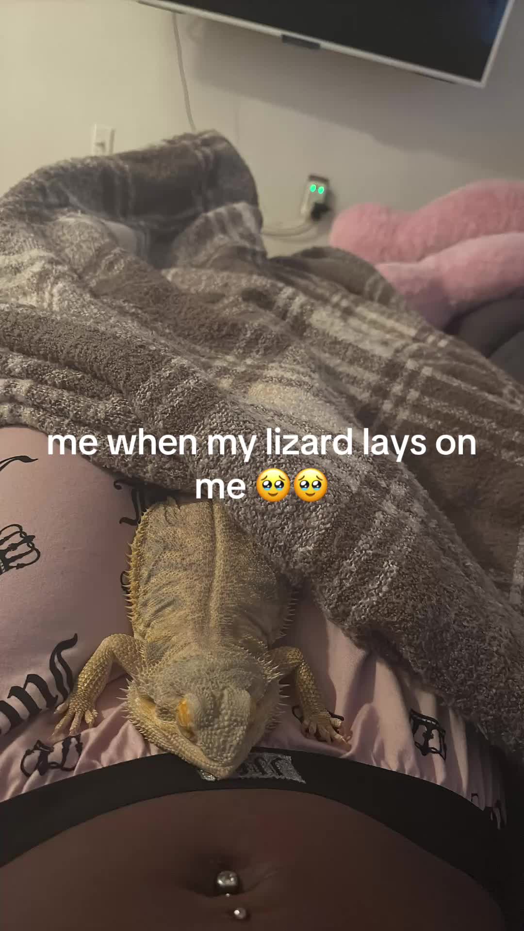 @🎀
