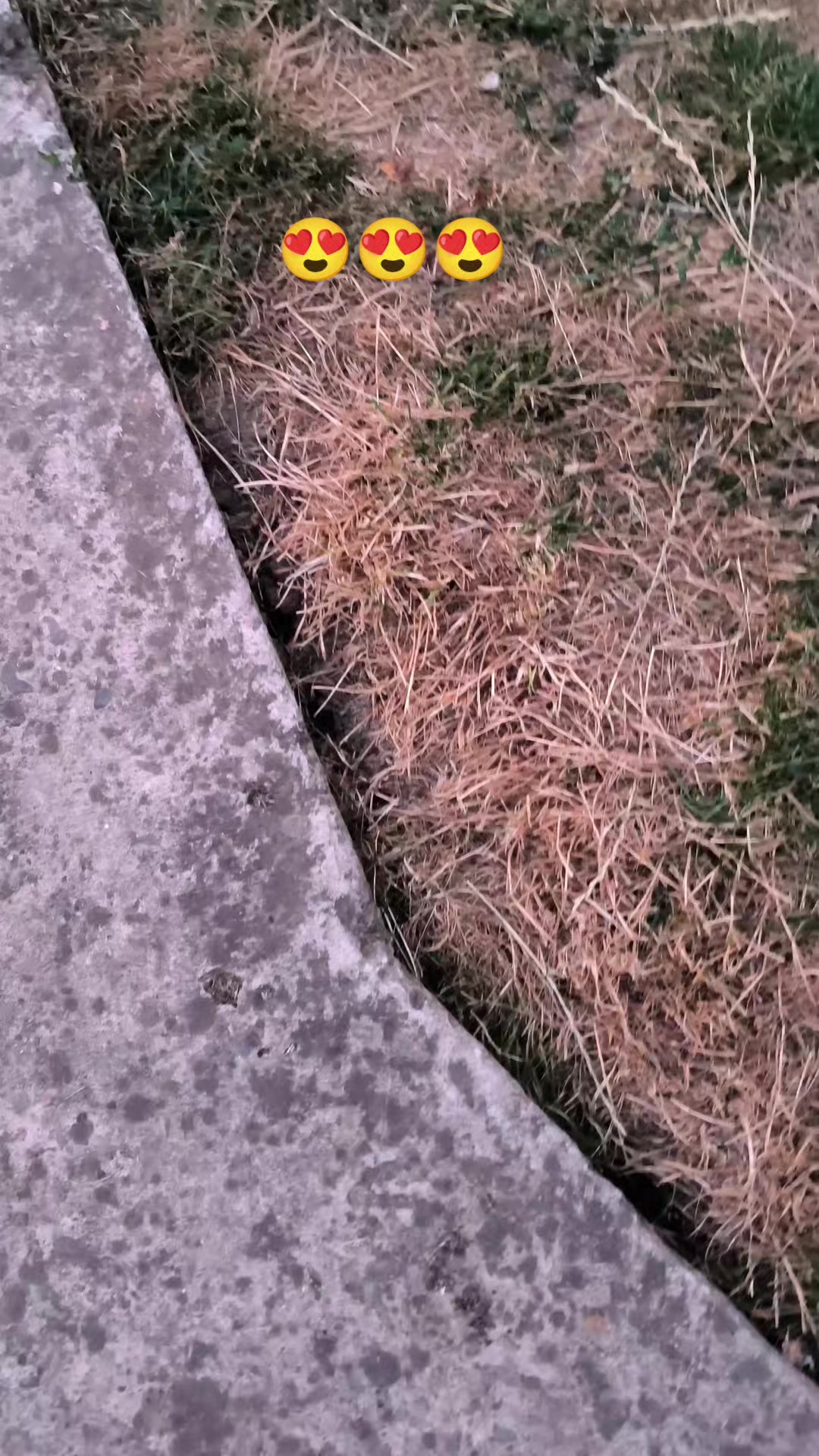 @ТТ°ŁĨMŨR