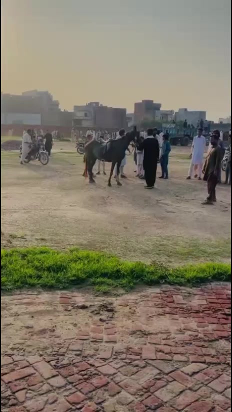 @Azeem Lahore 8