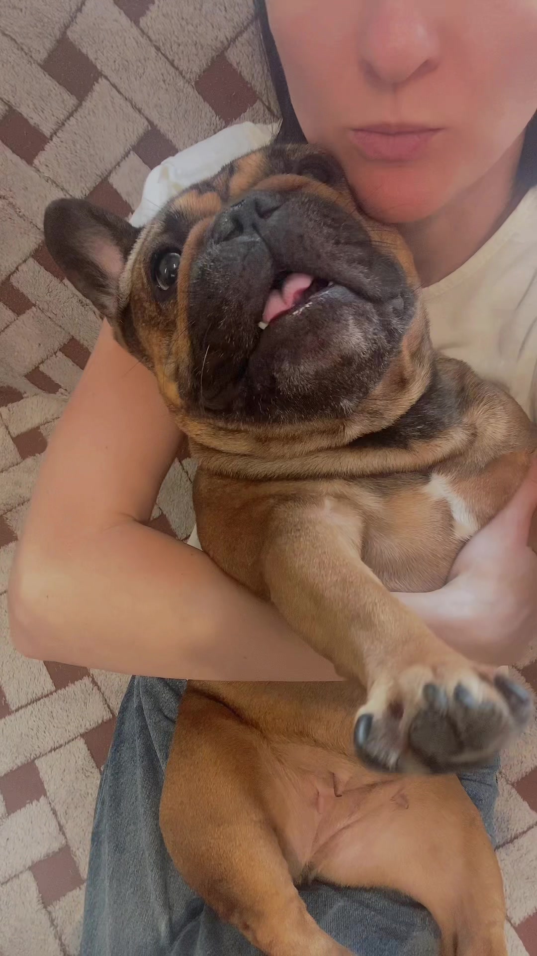 @_holly_bulls_